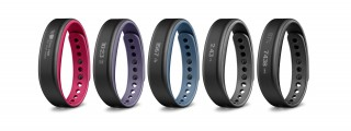 Garmin vivosmart