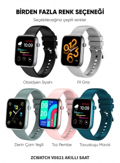 Zcwatch V0821