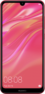 Y7 2019 - 2