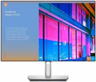 Dell UltraSharp U2421E