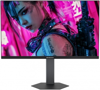 GameBooster GB-27F540FP