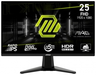 MSI MAG 255F E20