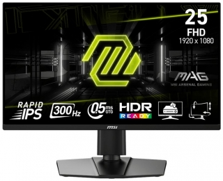 MSI MAG 255PXF