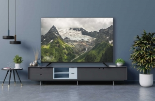 Botech 65BSE8503 görsel 2