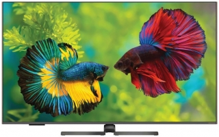 Grundig 65 GHQ 9500