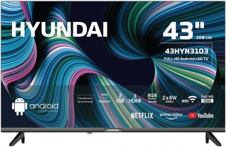 Hyundai 43HYN310343