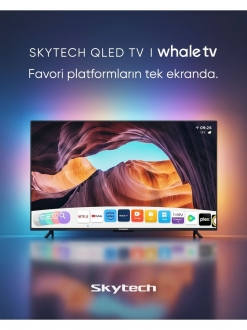 Skytech Q55ST3405 görsel 2