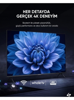 Skytech Q55ST3405 görsel 3